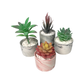 Set Of Our "Mojave Desert" Decorative Succulent Plants In Marbalized Ceramic Pot - 4 Pieces