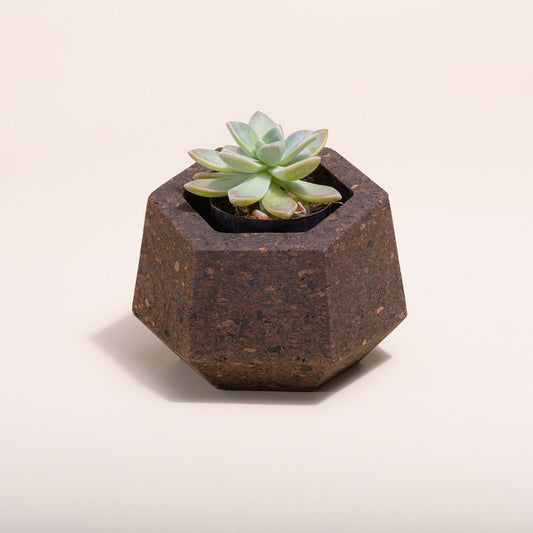 Upcycled Cork Vase