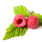 Raspberry - Keto