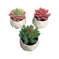 "Black Rock Desert" Decorative Ceramic Pot Succulent Plants - 3 Pieces