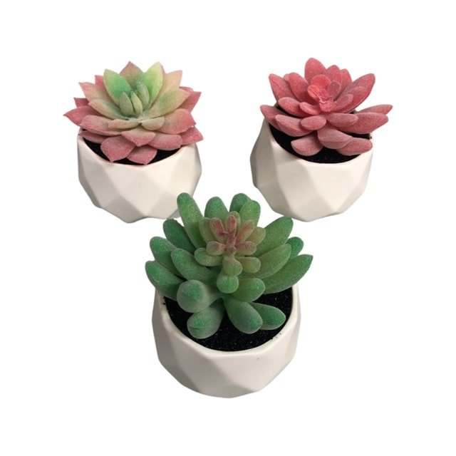 "Black Rock Desert" Decorative Ceramic Pot Succulent Plants - 3 Pieces