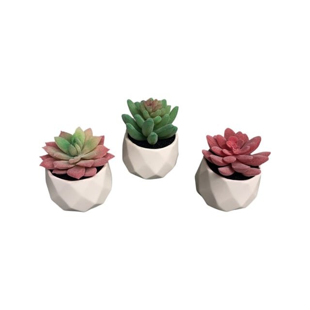 "Black Rock Desert" Decorative Ceramic Pot Succulent Plants - 3 Pieces